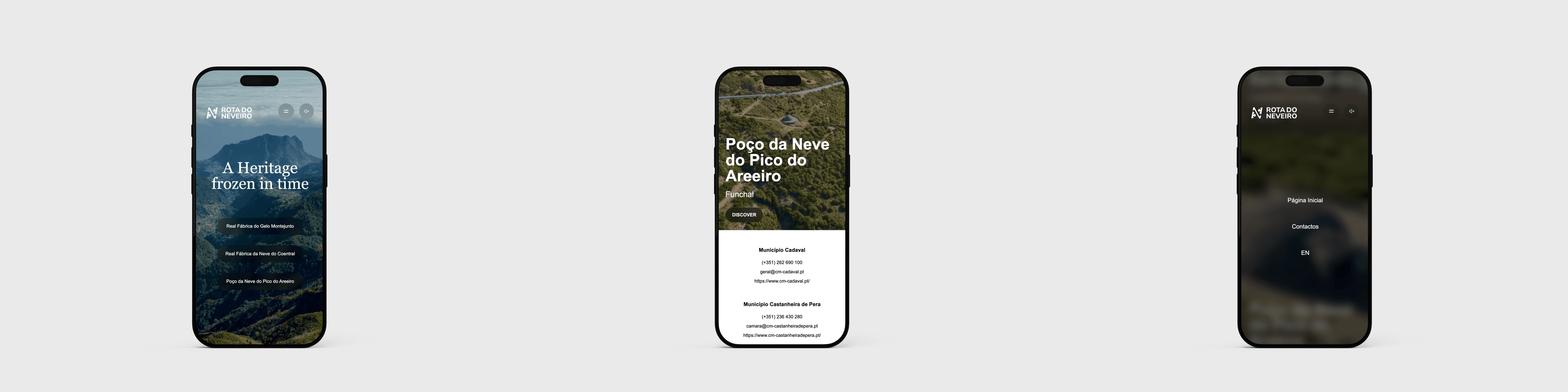 Website mockup phone
